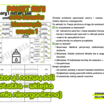 Wzory i nazwy soli notatka – wklejka (chemia nieorganiczna) PAKIET MAX