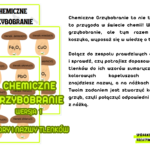 CHEMICZNE GRZYBOBRANIE WERSJA 2 WZORY I NAZWY TLENKÓW ORAZ ICH MASY CZĄSTECZKOWE