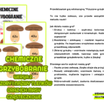 CHEMICZNE GRZYBOBRANIE WERSJA 1 WZORY I NAZWY TLENKÓW