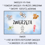 Notatka okienkowa/stacja zadaniowe/notatka/notatka graficzna/karta pracy/sketchnotka „Budowa wulkanu”, „Trzęsienie ziemi”, „Wulkanizm i trzęsienia ziemi w Azji” w pdf. Geografia 8, dział „Azja”. Materiał wykonany na podstawie podręcznika z wydawnictwa Nowa Era – nowość 2024/2025.