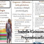 Fiszki matematyczne – ułamki i procenty