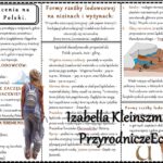 Notatka okienkowa/stacja zadaniowe/notatka/notatka graficzna/karta pracy/sketchnotka „Zlodowacenia na terenie Polski” w pdf. Geografia 7, dział „Środowisko przyrodnicze Polski”. Materiał wykonany na podstawie podręcznika z wydawnictwa Nowa Era – nowość 2024/2025.