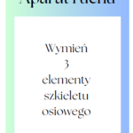 Gra „Układ pokarmowy” – powtórzenie wiadomości – biologia klasa 7