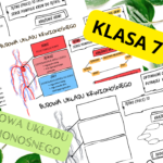 Biologia 7. Budowa i działanie serca