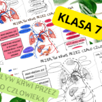 Biologia 7 . Choroby i higiena układu krwionośnego