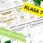 Plan Pracy Zespołu Nauczycieli Pomocy Psychologiczno-Pedagogicznej w klasach 1-8