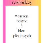 E8 „Opowieści z Narnii” *ZBIÓR ZADAŃ EGZAMINACYJNYCH* – wymagania 2024/2025 i 2025/2026