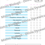 DZIEŃ CHŁOPAKA – zakładki do książek – zakładka – wersja 3