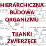 KONFLIKTY RÓWIEŚNICZE – Gazetka szkolna