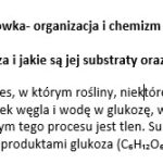 Test- Organizacja i chemizm życia