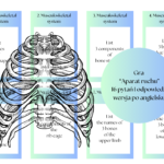 Scenariusze lekcji pokazowych, hospitacyjnych, demonstracyjnych i otwartych – klasa 1, 2, 3