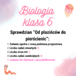 Matematyczne Gotowanie – zaokrąglanie liczb