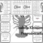 Notatka okienkowa/stacja zadaniowe/notatka interaktywna/notatka graficzna/karta pracy/sketchnotka „Budowa raka” w pdf. „Owady – stawonogi zdolne do lotu” – Biologia 6. Dział „Stawonogi i mięczaki”. Materiał wykonany na podstawie podręcznika z wydawnictwa Nowa Era – nowość 2024/2025.