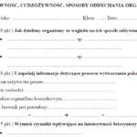 100 słówek matura angielski – formuła 2023