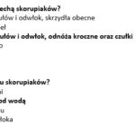 Na tropie samogłosek – utrwalanie czytania