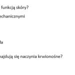 Dodawanie ułamków dodatnich i ujemnych | matematyka | 26 kolumn