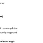 Prepositions of time in, on, at – kompleksowy materiał na lekcje, karty + prezentacja + quiz