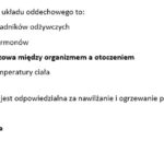 Gramatyczne karty pracy – świąteczny rzeczownik, przymiotnik i czasownik