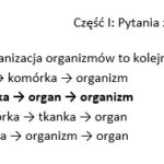 Prezentacja na temat matematyki „Liczby” i „Ułamki”