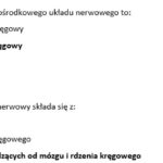 Prezentacja – księga XI „Pan Tadeusz” Adam Mickiewicz – Rok 1812 – egzamin ósmoklasisty, romantyzm