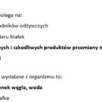 ZEMSTA: Krok po kroku – karta pracy do lektury