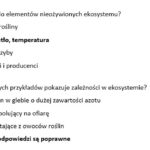 Świąteczne karty pracy na ostanią chwilę. ( kodowanie, labirynty, memory, gra , kolorowanka)