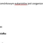 Die Superhelden A2 niemiecki scenariusz:tekst, ćwiczenia,odmiana przymiotnika po rodzajniku nieokreślonym