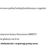 Test- ekspresja informacji genetycznej w komórkach człowieka