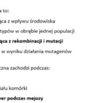 97 stron! Zabawa i nauka – zestaw kreatywnych kart pracy, kolorowanek i puzzli