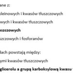 Test- Chemizm życia. Składniki organiczne- DNA i RNA (zakres rozszerzony)