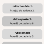 Dyktando ó/u „Upominek dla wnuczki” z zadaniami przygotowującymi – dla uczniów o zróżnicowanych potrzebach edukacyjnych