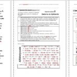 Pomysł na lekcję/karta pracy/stacje zadaniowe/materiał do lekcji do tematu „Okrytonasienne” w pdf. W gratisie niekomercyjny scenariusz lekcji/pomysł na lekcję w programie genial.ly do edycji. Biologia 5. Dział „Różnorodność roślin”.