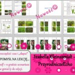 Pomysł na lekcję/karta pracy/stacje zadaniowe/materiał do lekcji do tematu „Liść – wytwórnia pokarmu” w pdf. W gratisie niekomercyjny scenariusz lekcji/pomysł na lekcję w programie genial.ly do edycji. Biologia 5. Dział „Tkanki i organy roślinne”.