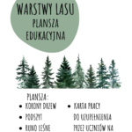 Karty Pracy na Percepcję Wzrokową – nauka liter, nauka czytania, matematyka