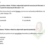 „Błędy prowadzące do sukcesu w ewolucji i życiu codziennym” zajęcia TUS, rewalidacja, godziny wychowawcze