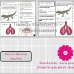 Minizestaw do tematu „Przegląd płazów” – sketchnotka + karta pracy w pdf + gratisowy link do prezentacji multimedialnej niekomercyjnej wykonanej w genial.ly do indywidualnego pobrania i użycia do celów niekomercyjnych. Biologia 6, Dział „Kręgowce zmiennocieplne”.