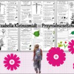 Akademia pana Kleksa – zakodowana kartkówka