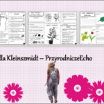 Zestaw sketchnotek/książeczek/notatek/wklejek/ściąg dla ucznia i przypomnień dla nauczyciela/edukacja domowa w pdf do całego działu. Biologia 5, dział „Różnorodność roślin”. Nowość 2024/2025.