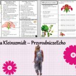 Minizestaw do tematu „Nagonasienne” – sketchnotka + karta pracy w pdf + gratisowy link do prezentacji multimedialnej niekomercyjnej wykonanej w genial.ly do indywidualnego pobrania i użycia do celów niekomercyjnych. Biologia 5, Dział „Różnorodność roślin”.