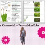 Minizestaw do tematu „Paprotniki” – sketchnotka + karta pracy w pdf + gratisowy link do prezentacji multimedialnej niekomercyjnej wykonanej w genial.ly do indywidualnego pobrania i użycia do celów niekomercyjnych. Biologia 5, Dział „Różnorodność roślin”.