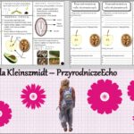 Minizestaw do tematu „Przegląd i znaczenie roślin okrytonasiennych” – sketchnotka + karta pracy w pdf + gratisowy link do prezentacji multimedialnej niekomercyjnej wykonanej w genial.ly do indywidualnego pobrania i użycia do celów niekomercyjnych. Biologia 5, Dział „Różnorodność roślin”.