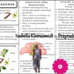 Sketchnotka/książeczka/notatka/wklejka/ściąga dla ucznia i przypomnienie dla nauczyciela/edukacja domowa. Temat „Nagonasienne”. Materiał w pdf. Biologia 5, dział „Różnorodność roślin”. Nowość 2024/2025.