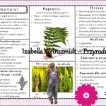 Sketchnotka/książeczka/notatka/wklejka/ściąga dla ucznia i przypomnienie dla nauczyciela/edukacja domowa. Temat „Nagonasienne”. Materiał w pdf. Biologia 5, dział „Różnorodność roślin”. Nowość 2024/2025.