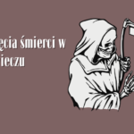 Karty edukacyjne. Zwierzęta. Rośliny. Grzyby. Ekologia.