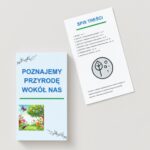 Uprawa roślin w klasie (fasola w słoiku, kiełkowanie nasion), obserwacja różnych warunków (światło, woda)