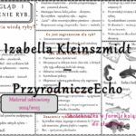 Zestaw sketchnotek – notatek do całego działu „GENETYKA” wykonanych w power point do edycji. Biologia 8