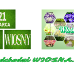 Jaką liczbą jestem? NWW. Dzień liczby Pi. Dzień Matematyki.