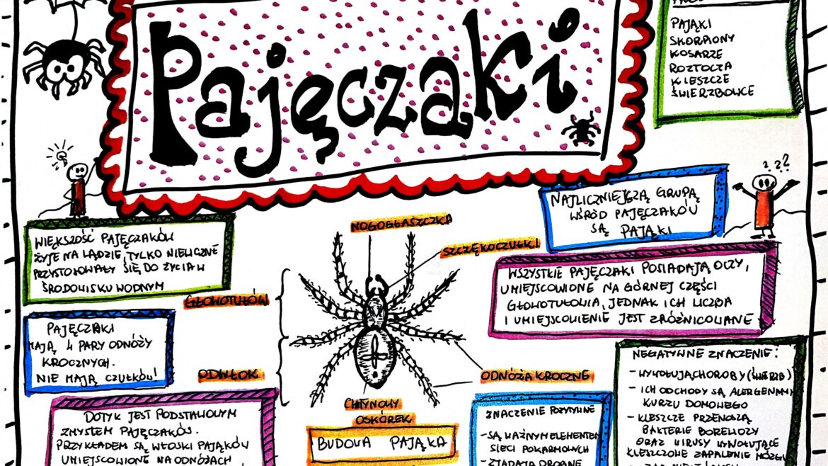 klasa biologia pajęczaki karta pracy kolorowa złoty nauczyciel