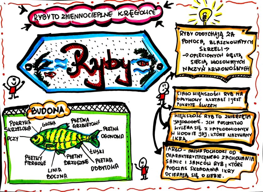 klasa biologia ryby karta pracy kolorowa złoty nauczyciel