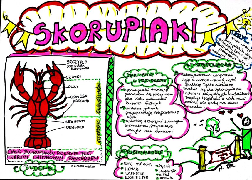 klasa biologia skorupiaki karta pracy kolorowa złoty nauczyciel